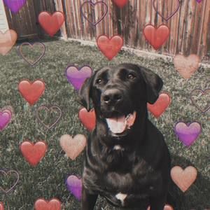 Meet your Posher, Coralee